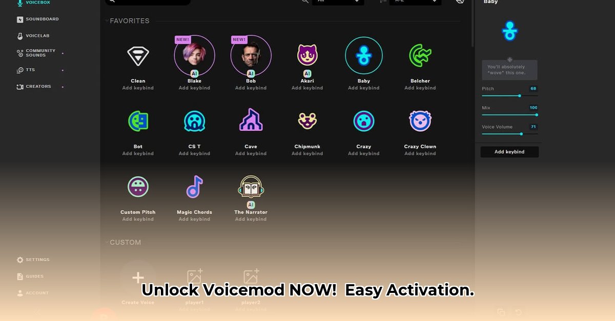 voicemod-license-key